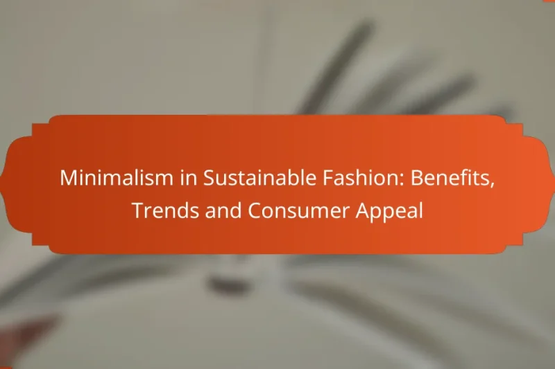 Minimalism in Sustainable Fashion: Benefits, Trends and Consumer Appeal