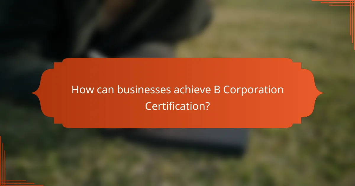 How can businesses achieve B Corporation Certification?