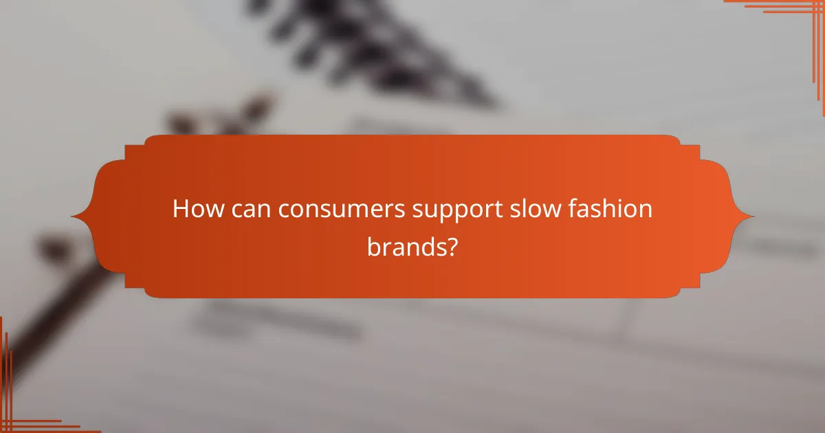 How can consumers support slow fashion brands?