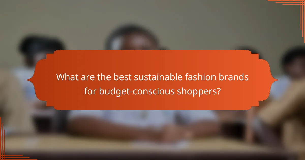 What are the best sustainable fashion brands for budget-conscious shoppers?