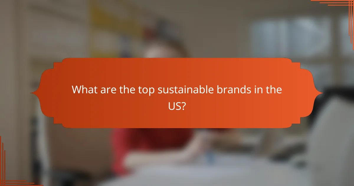 What are the top sustainable brands in the US?