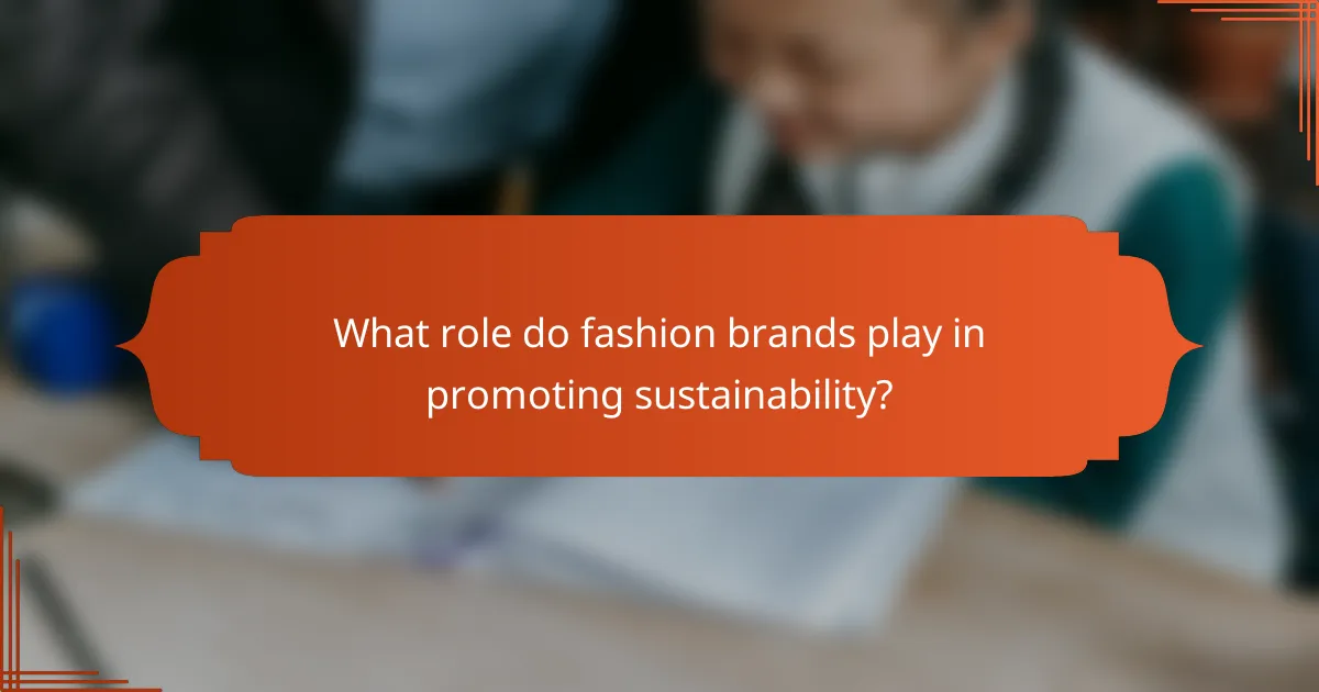 What role do fashion brands play in promoting sustainability?